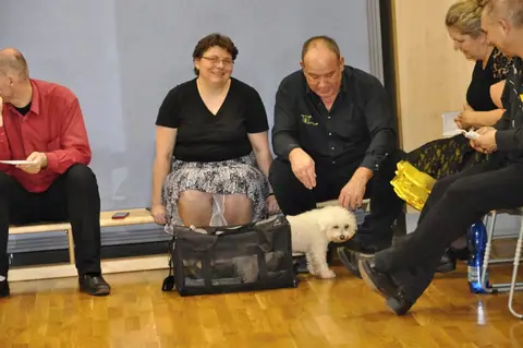 5. Birthday Silverspines SDC Jihlava – fotografie 69