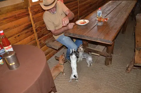 Beaver 2017 zlato – fotografie 30