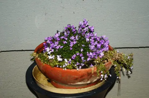 CSCTA Convention Bratislava 2016 – fotografie 57