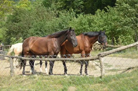 Hustopeče, Lednice,, Pohansko – fotografie 24