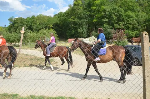 Hustopeče, Lednice,, Pohansko – fotografie 35