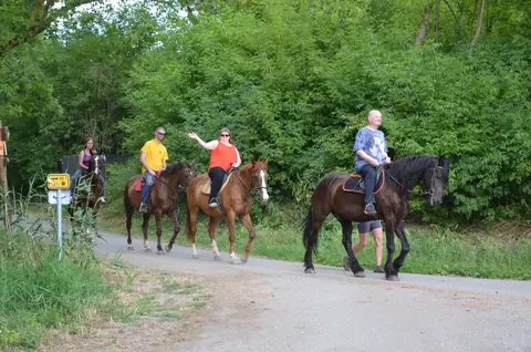Hustopeče, Lednice,, Pohansko – fotografie 44