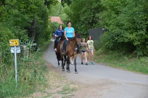 Hustopeče, Lednice,, Pohansko – fotografie 47