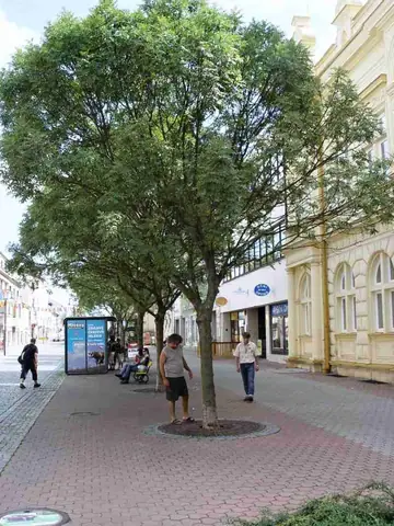 Řáholecký rynek 2012 – fotografie 49