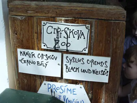 Řáholecký rynek 2012 – fotografie 111